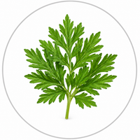 Wormwood