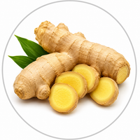 Ginger