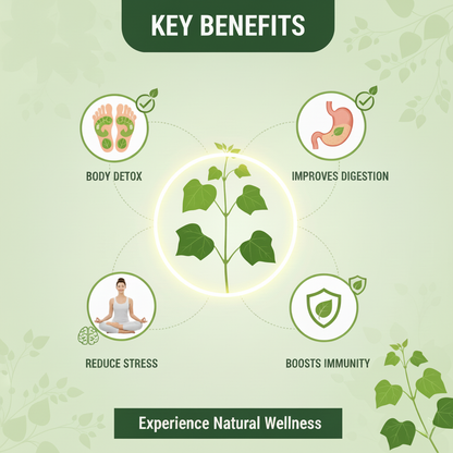 Giloy Herbal Detox Foot Patches New Pack BUY 1 GET 1 FREE