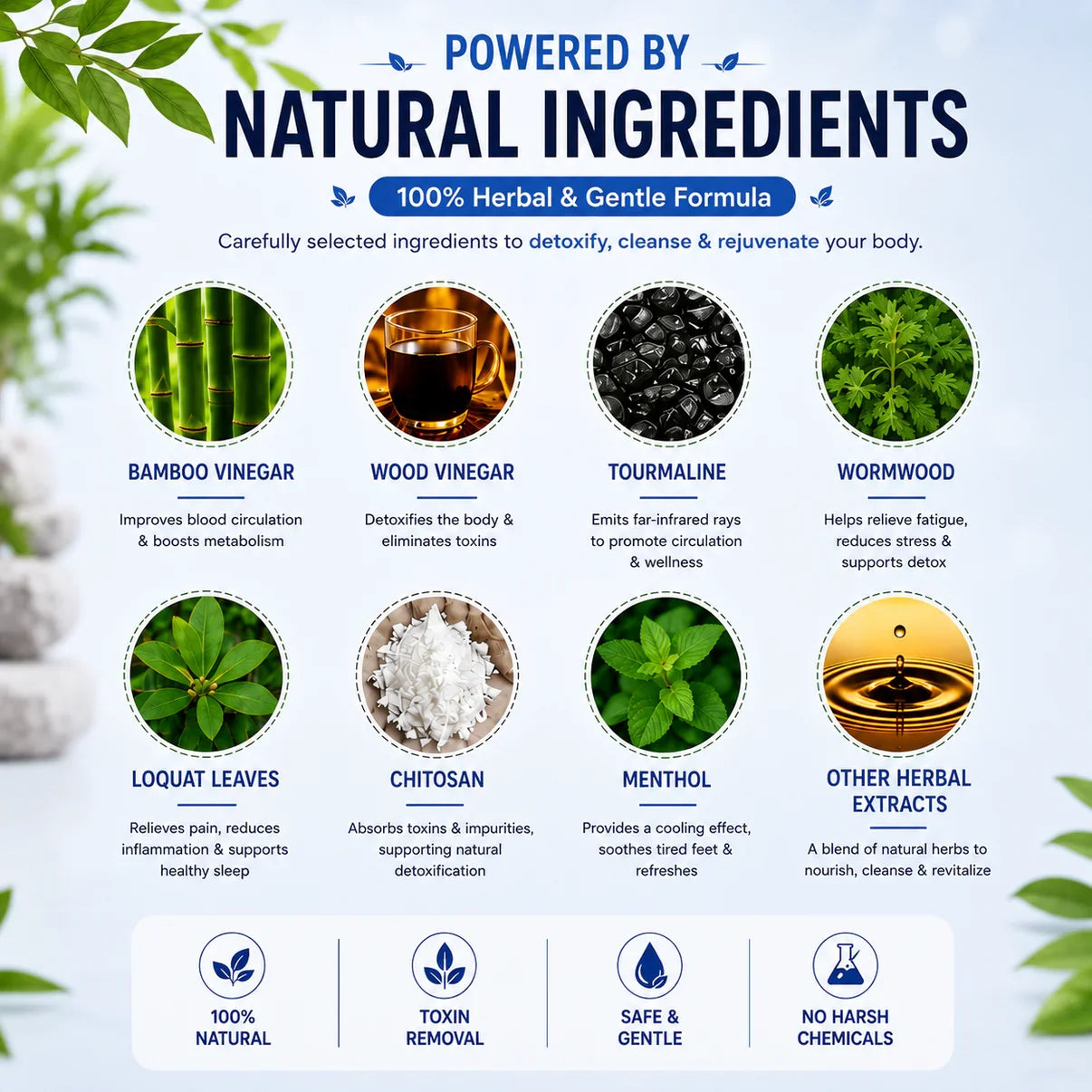 AYURVEDIC POWER Foot Patches | Buy 1 Get 19 FREE